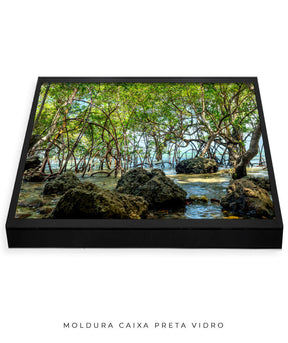 Quadro Decorativo Árvores e Galhos - Pedras e árvores