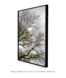 Quadro Decorativo Árvores e Galhos - Folhas secas Vertical