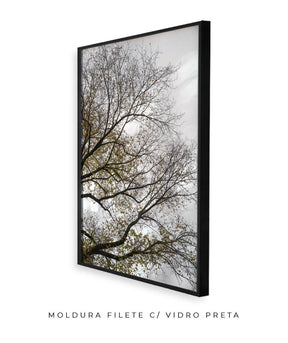 Quadro Decorativo Árvores e Galhos - Folhas secas Vertical