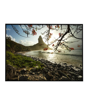 Quadro Decorativo Pôr do Sol e Galhos Secos - Horizontal