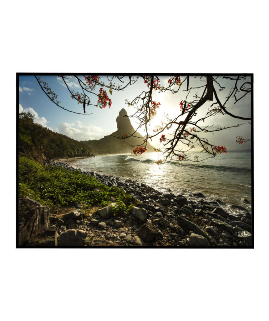 Quadro Decorativo Pôr do Sol e Galhos Secos - Horizontal