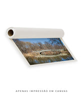 Quadro Decorativo Nova York - Central Park