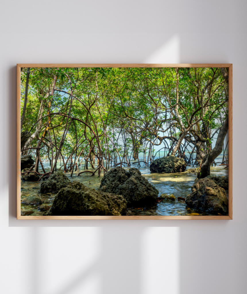 Quadro Decorativo Árvores e Galhos - Pedras e árvores
