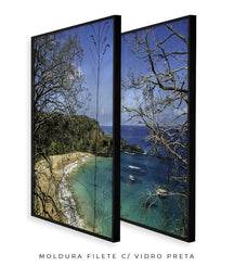 Quadro Decorativo Praia, Mar e Galhos Secos -Dupla