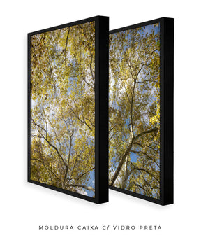 Quadro Decorativo Galhos e Árvores - Dupla